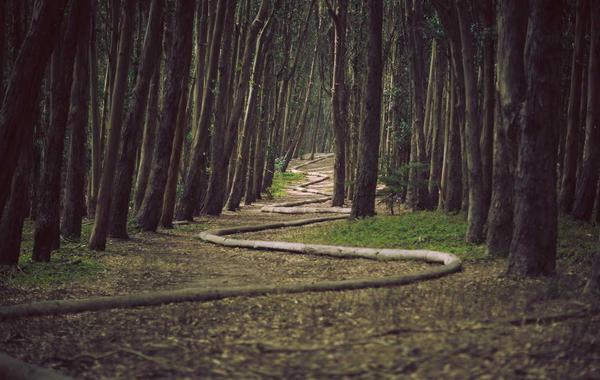 German Citizenship by Naturalisation