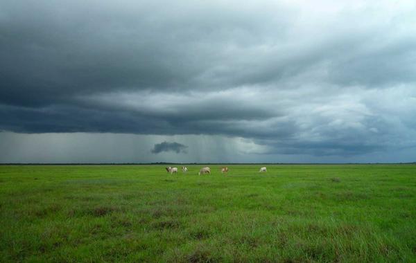 Germany Schengen Visa: Tourist & Short Stay